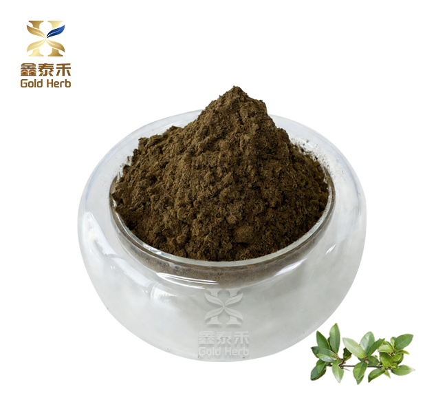 Gymnema sylvestre extract 75